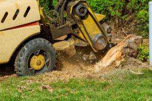 tree service